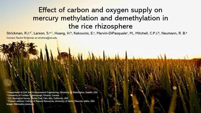 Carbon and oxygen alter mercury methylation in rice paddy soil and MeHg accumulation in rice grain